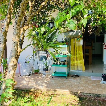 Para Desfutar Com A Familia Bombinhas Exterior photo